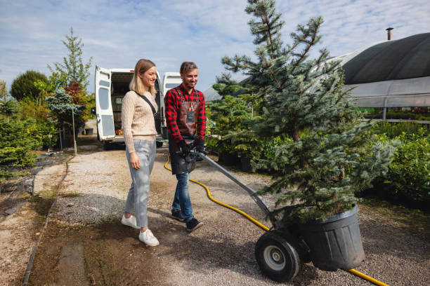 How Our Tree Care Process Works  in  Conrad, IA